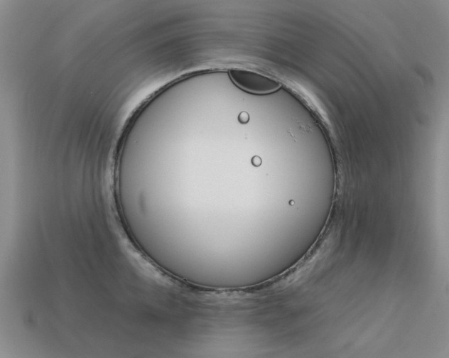 X0000113260952200909101247