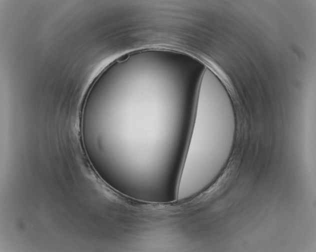 X0000113260956200909101247