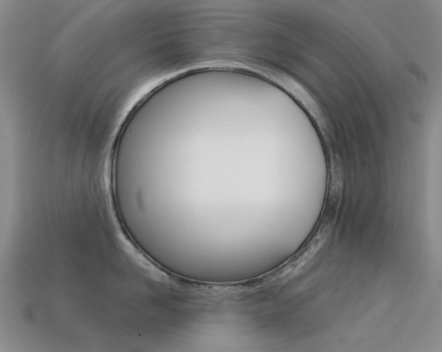 X0000113260958200909101247