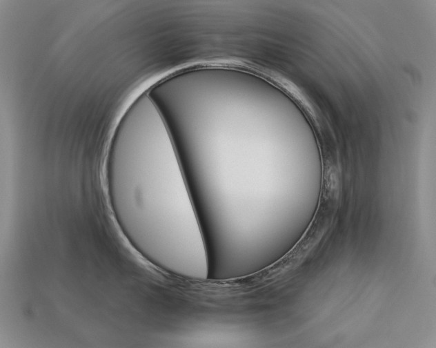 X0000113260959200909101247