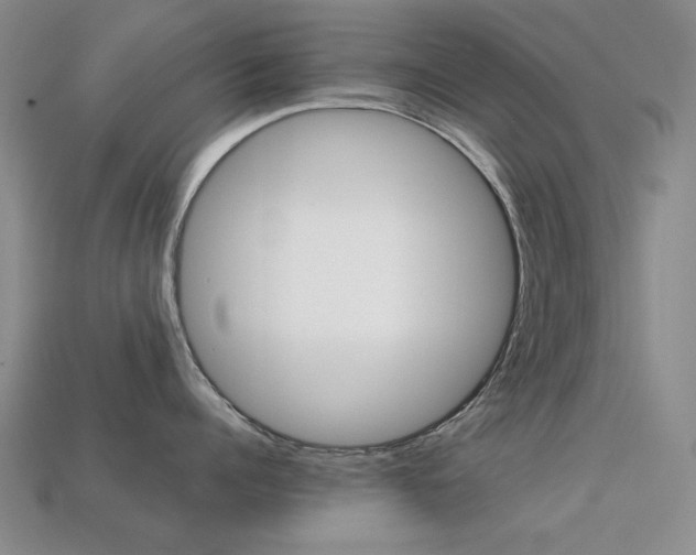 X0000113260960200909101247