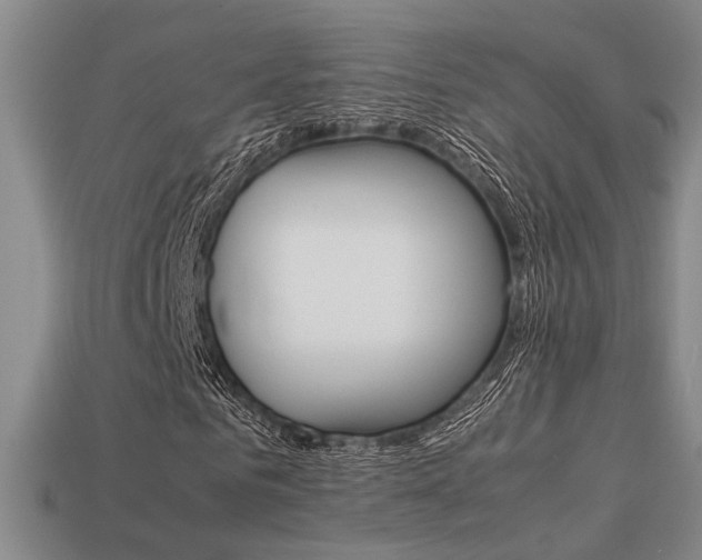 X0000113260961200909101247