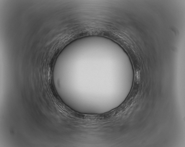 X0000113260963200909101247