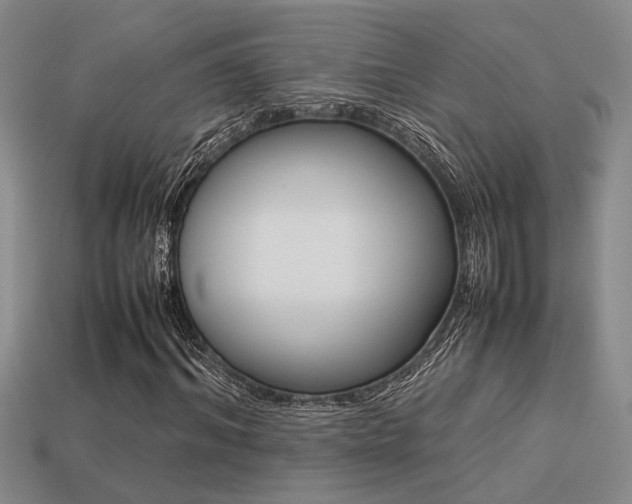 X0000113260964200909101247