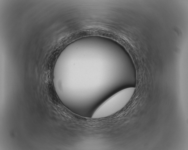 X0000113260965200909101247