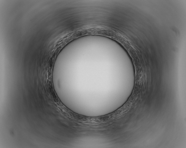 X0000113260966200909101247