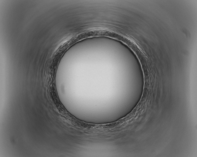 X0000113260967200909101247