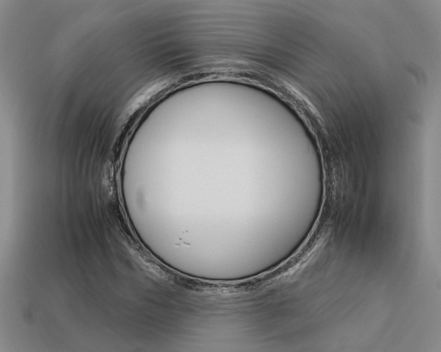 X0000113260970200909101246