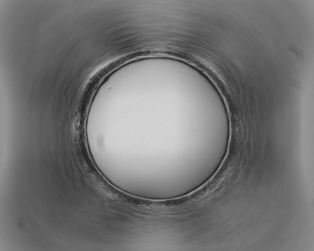 X0000113260971200909101246