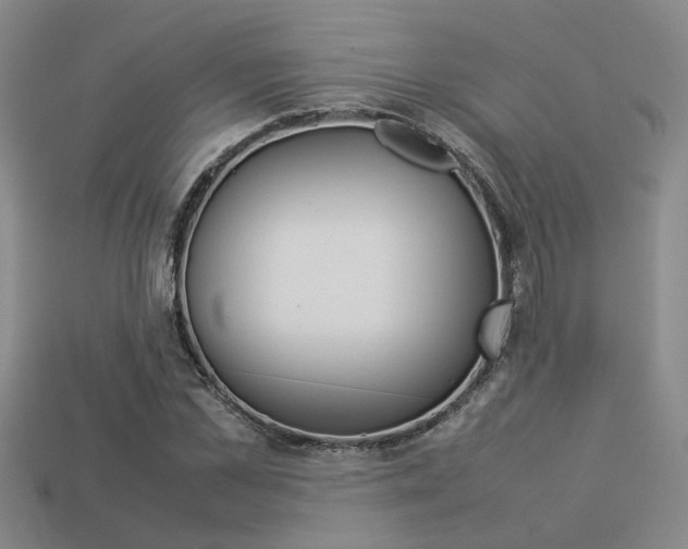 X0000113260973200909101246