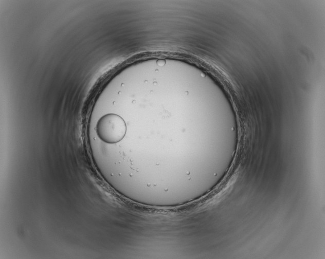 X0000113260974200909101246