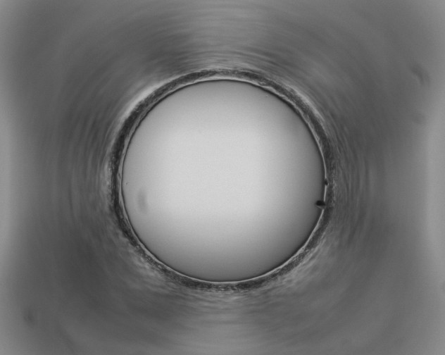 X0000113260975200909101246