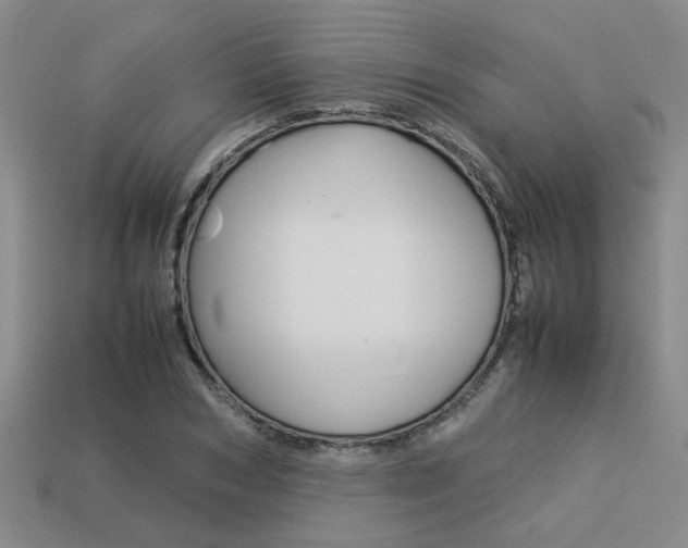 X0000113260978200909101246