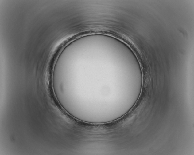 X0000113260979200909101246