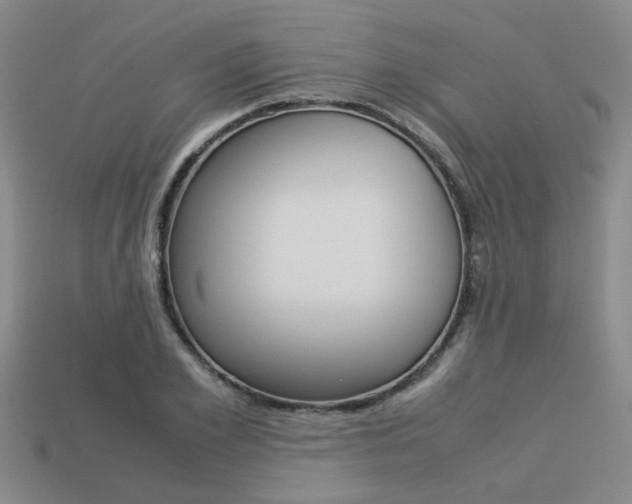 X0000113260981200909101246
