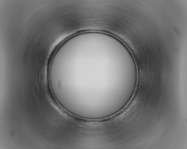 X0000113260982200909101246