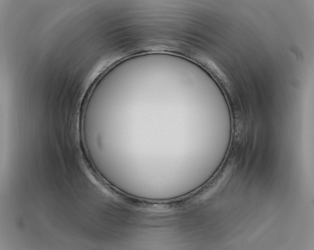 X0000113260986200909101246