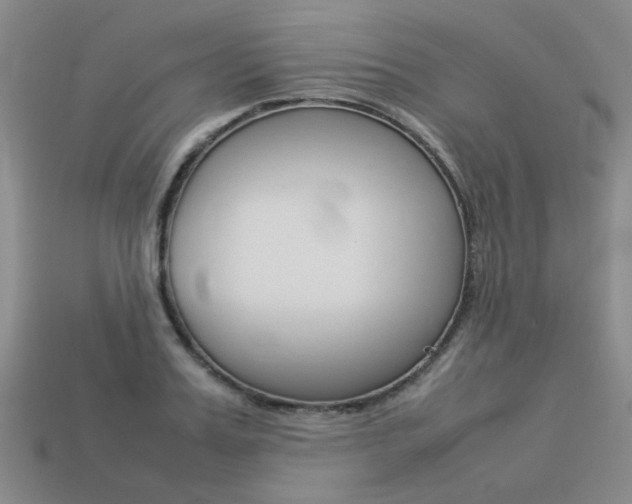 X0000113260987200909101246