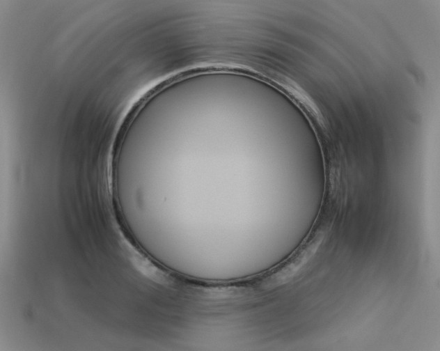 X0000113260988200909101246