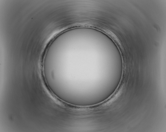 X0000113260989200909101246