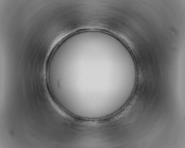 X0000113260990200909101246