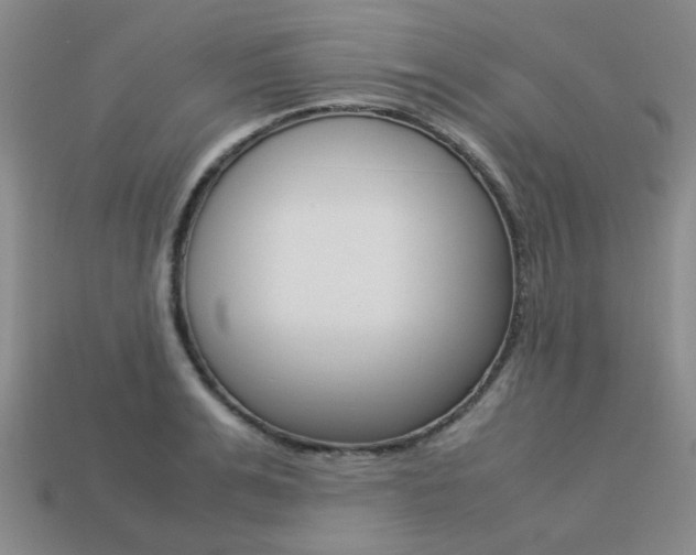 X0000113260991200909101246