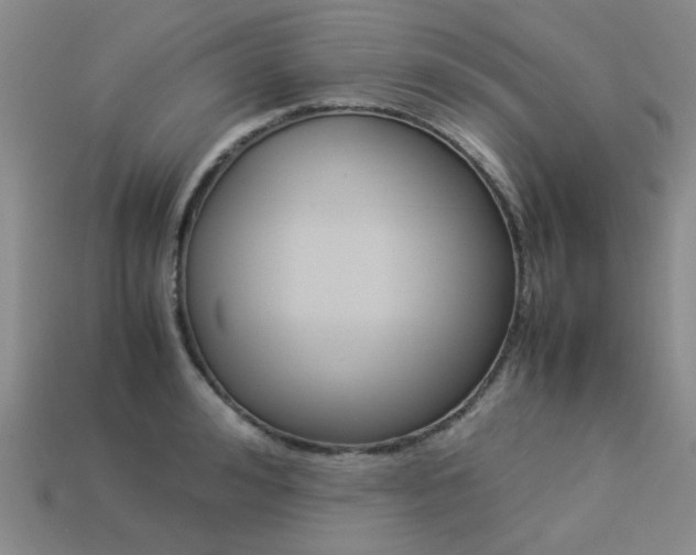X0000113260992200909101246