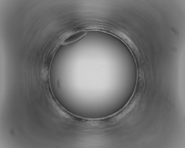 X0000113260993200909101246