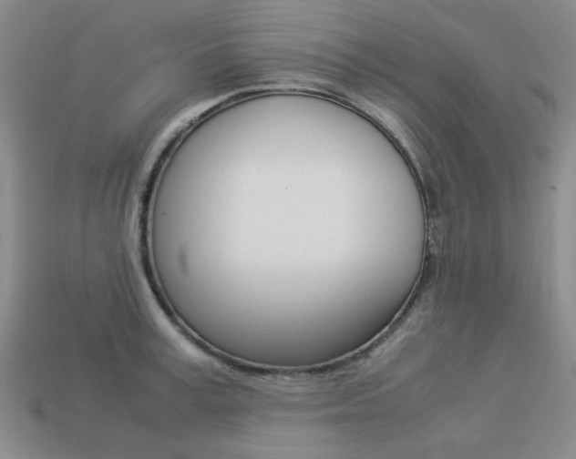 X0000113260995200909101246