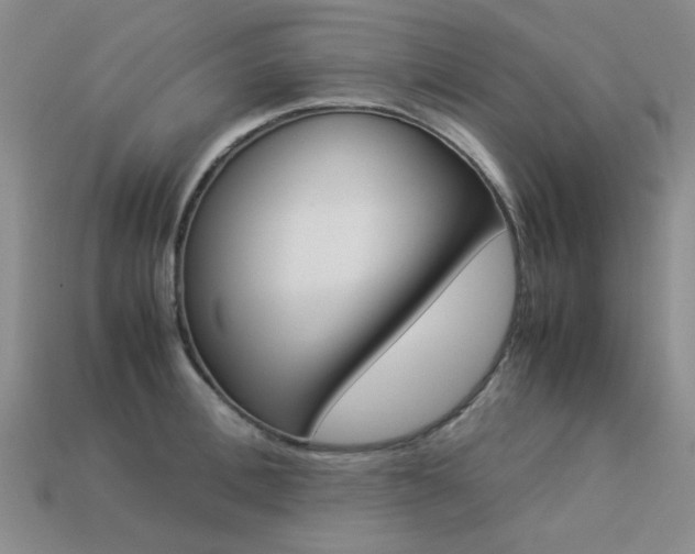 X0000113260996200909101246