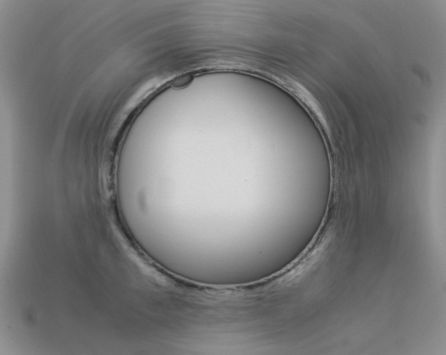 X0000113260997200909101246