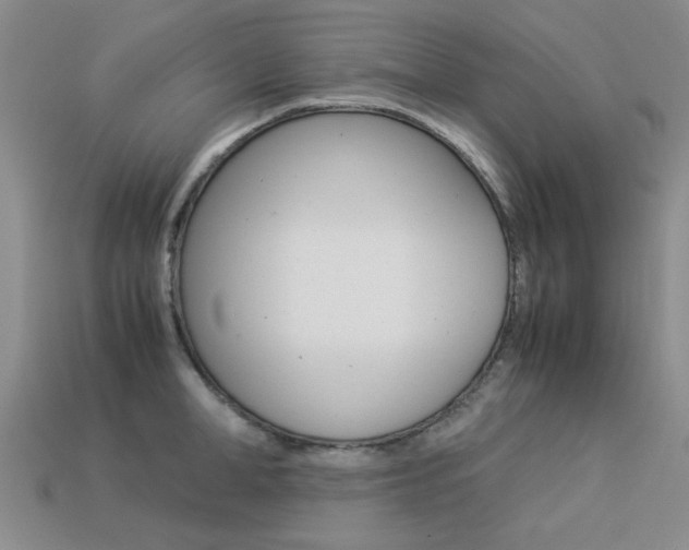 X0000113260998200909101246