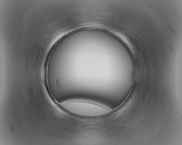 X0000113260999200909101246