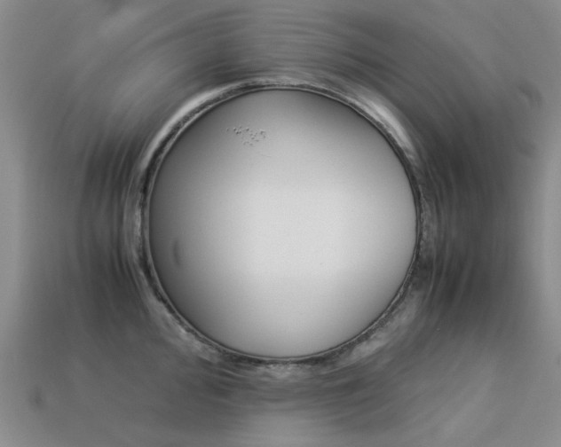 X0000113261000200909101246