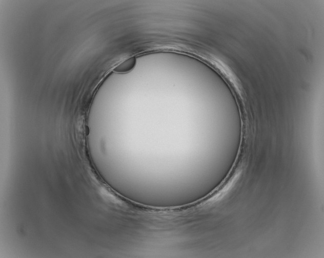 X0000113261001200909101246