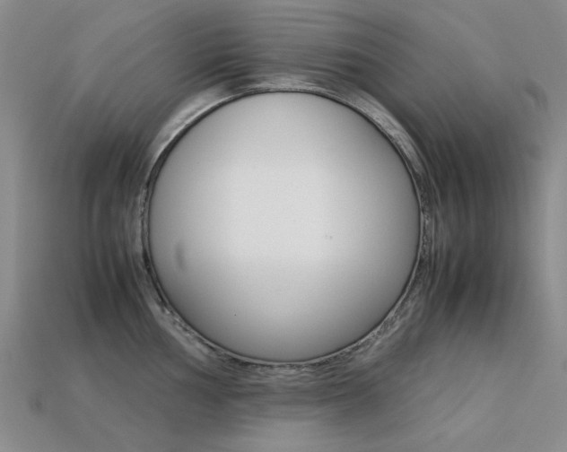 X0000113261002200909101246