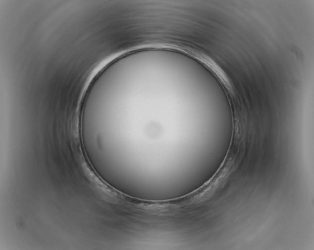 X0000113261004200909101246