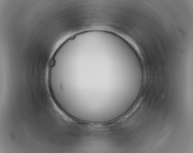 X0000113261006200909101246