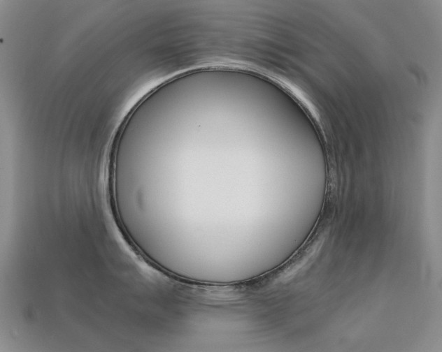 X0000113261007200909101246