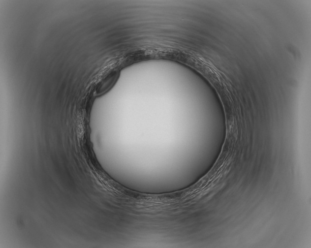 X0000113261012200909101245