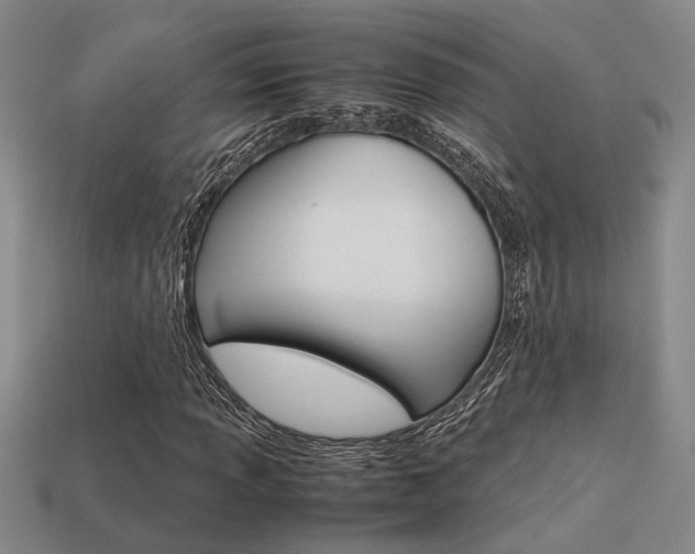 X0000113261013200909101245