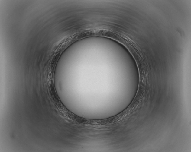 X0000113261014200909101245