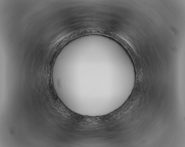 X0000113261015200909101245