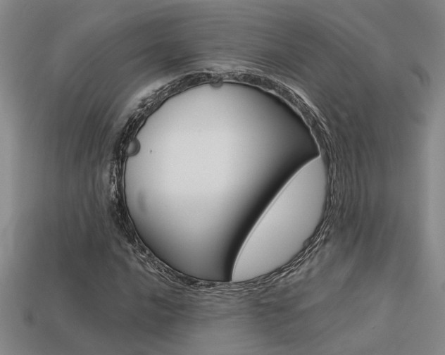 X0000113261016200909101245