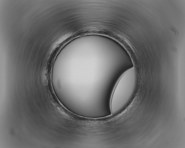 X0000113261018200909101245