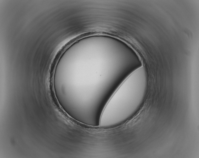 X0000113261020200909101246