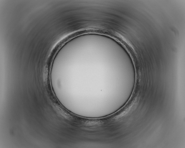 X0000113261021200909101246
