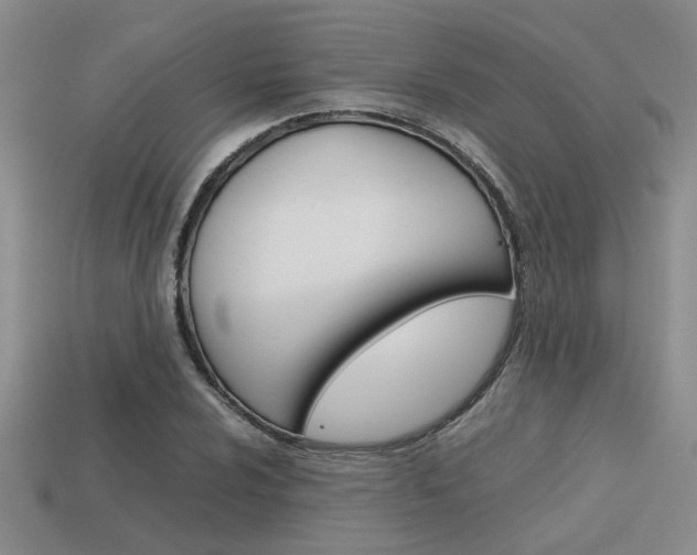 X0000113261024200909101246