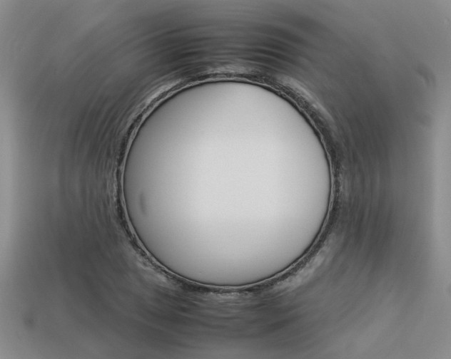 X0000113261025200909101246