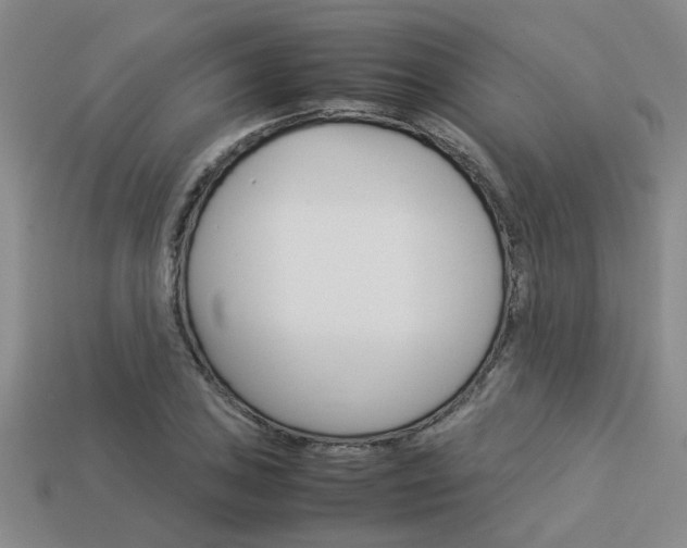 X0000113261027200909101246